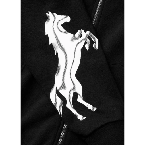 POST MALONE X H-D HORSEPOWER FULL ZIP HOODIE